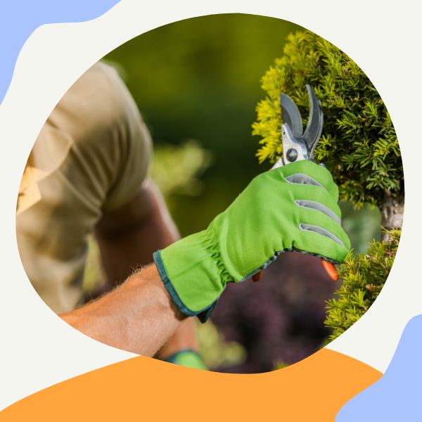 شركة تنسيق حدائق المدينة المنورة