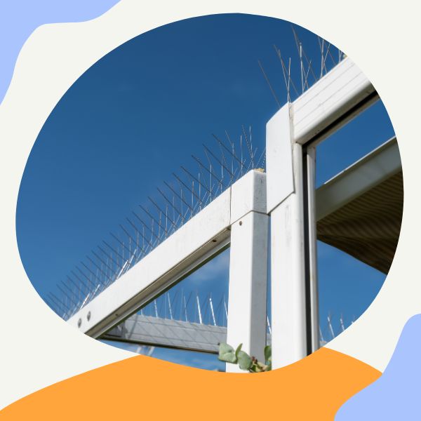 شركة تركيب طارد حمام بالمدينة المنورة