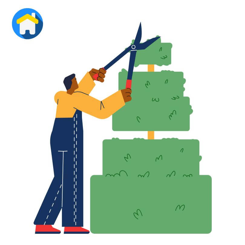 شركة تنسيق وتصميم الحدائق والمسطحات الخضراء في ينبع