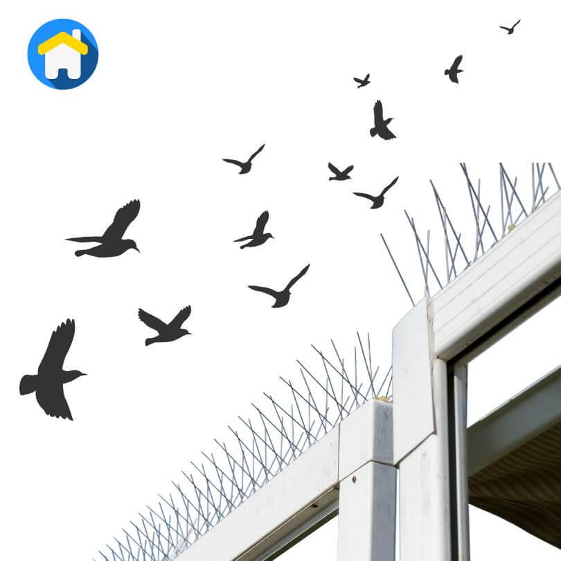 فني تركيب أجهزة طارد الحمام والطيور في ينبع